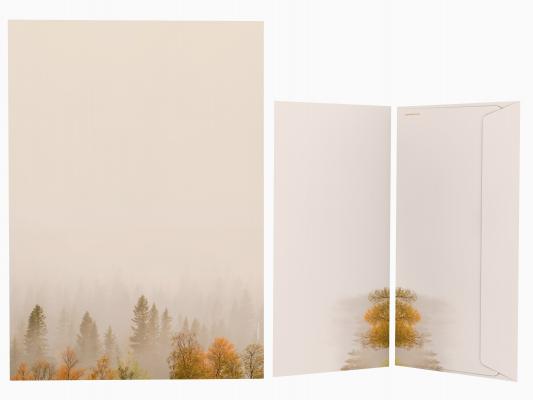Stationery Foggy Forest